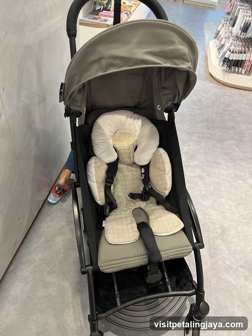 Stroller Interior View