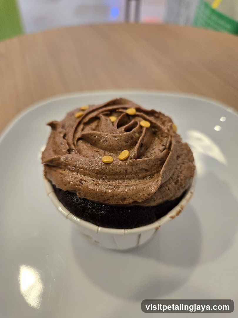 Chocolate Cupcake with Sprinkles