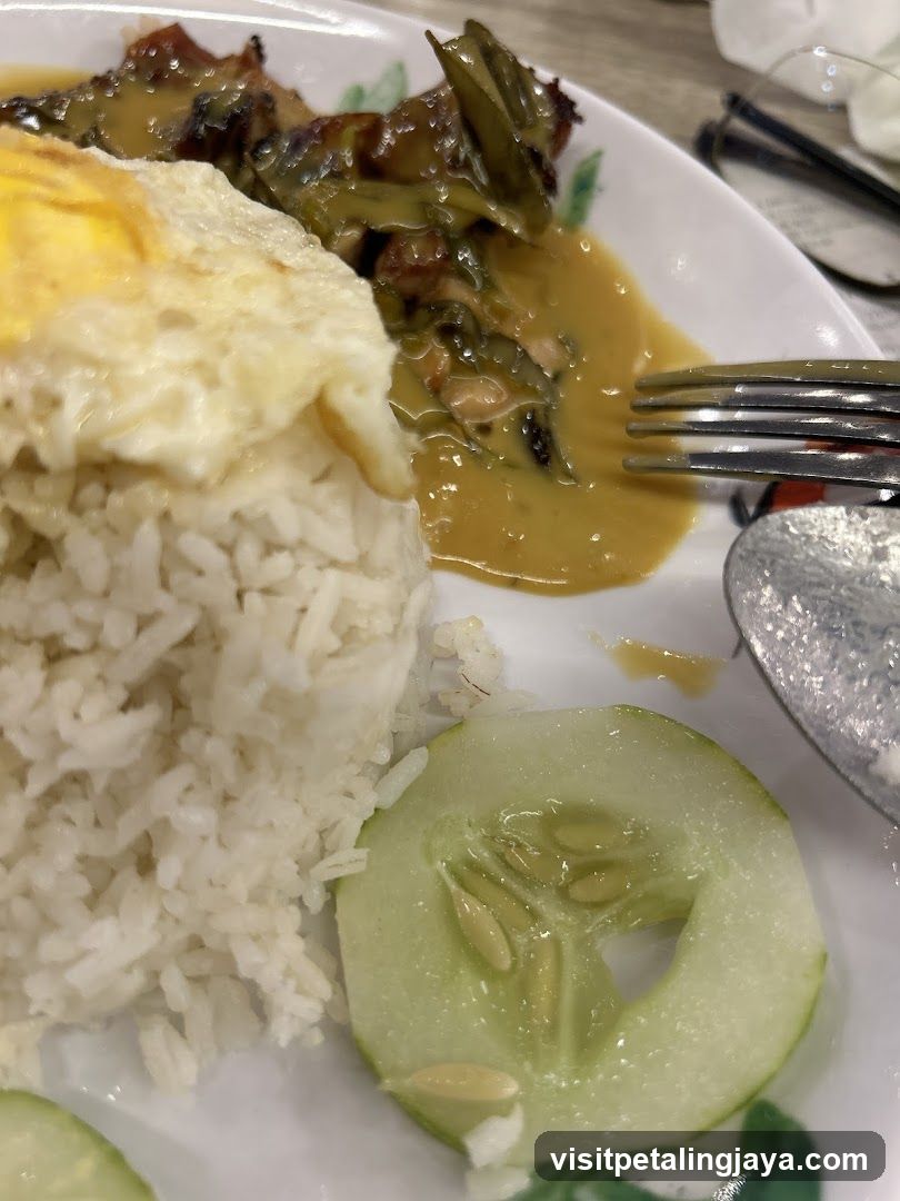 Plate of Fried Rice with Curry and Egg