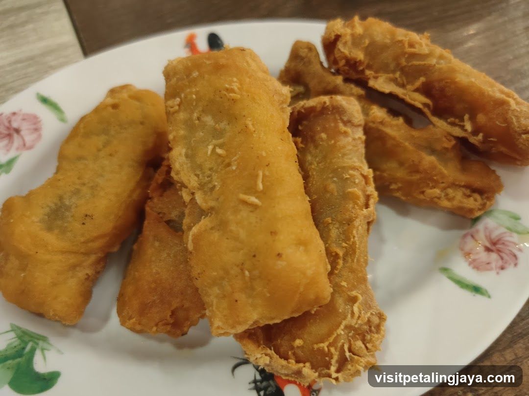 Fried Spring Rolls on a Plate
