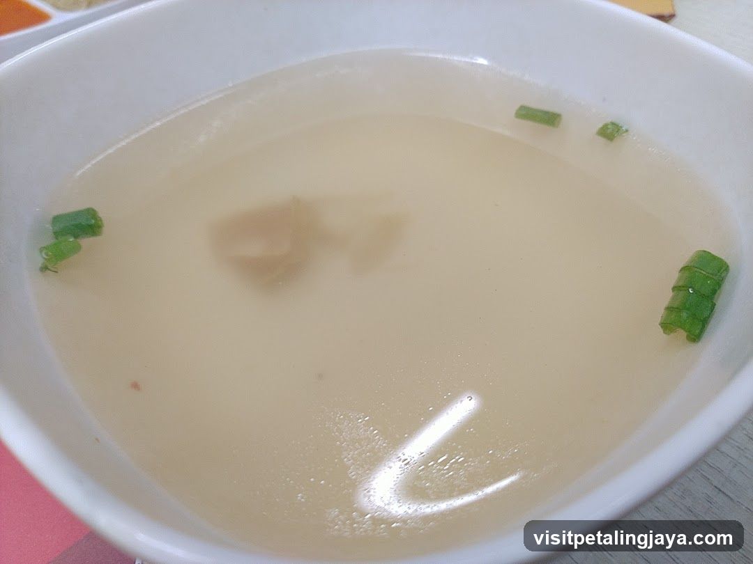 Bowl of clear soup with green onions