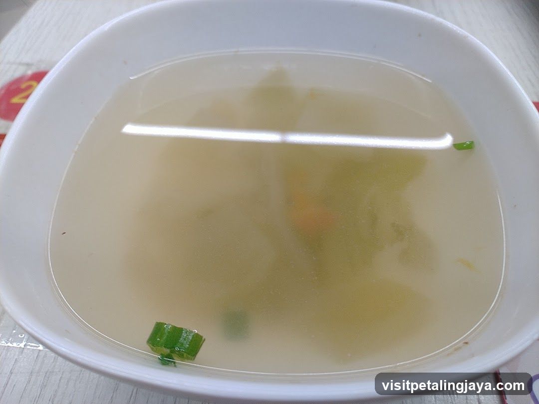 Bowl of clear soup with vegetables and green onions