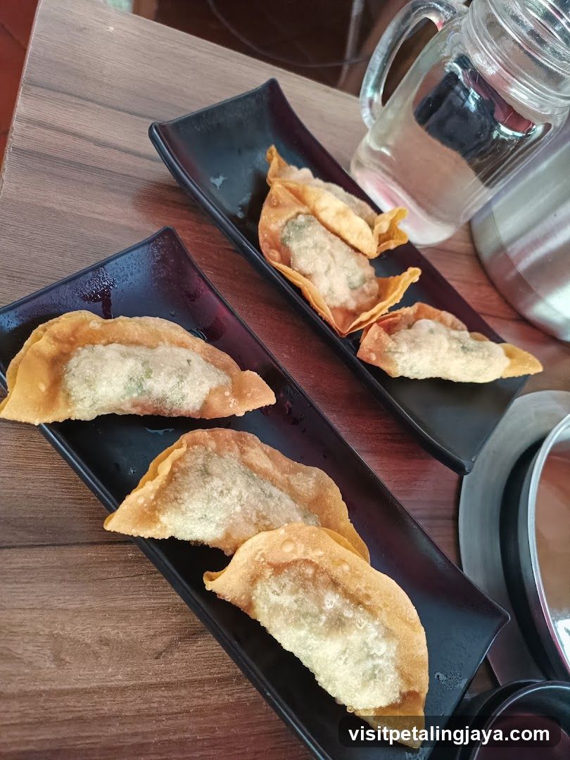 Fried Dumplings on Black Plates