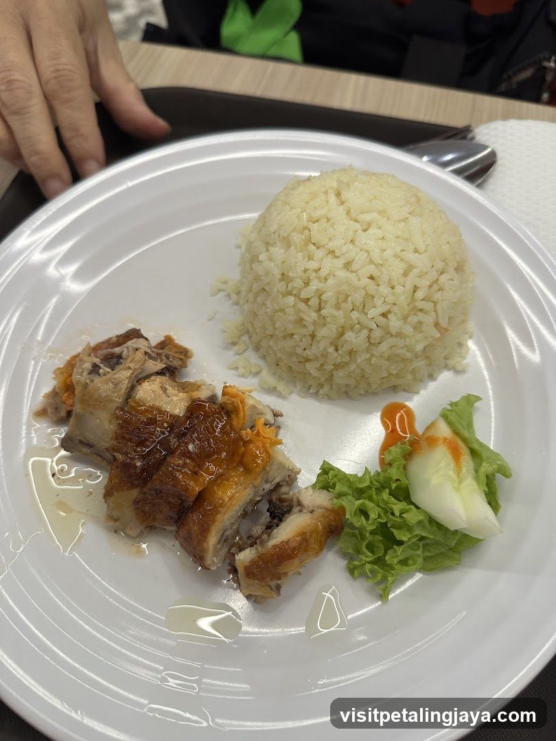 Plate of Chicken Rice with Lettuce and Sauce