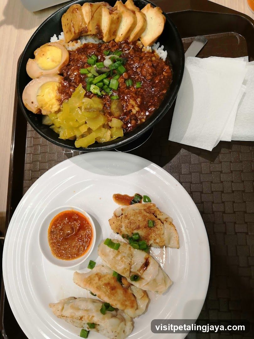 Food Tray with Dumplings and Rice Bowl