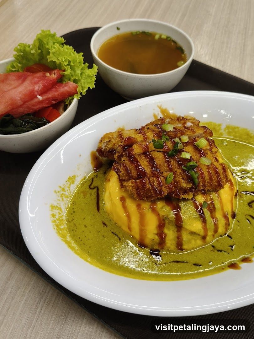 Fried Chicken with Curry Sauce and Side Salad