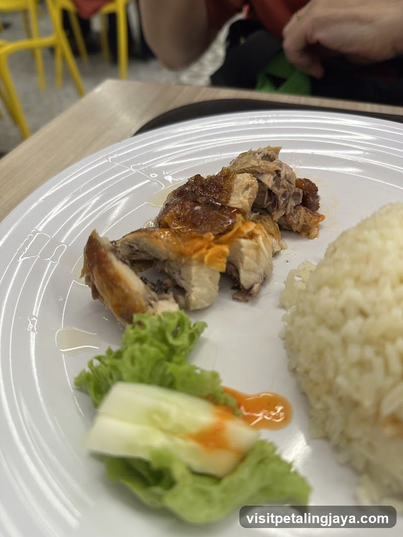 Plate of Chicken Rice with Lettuce and Sauce