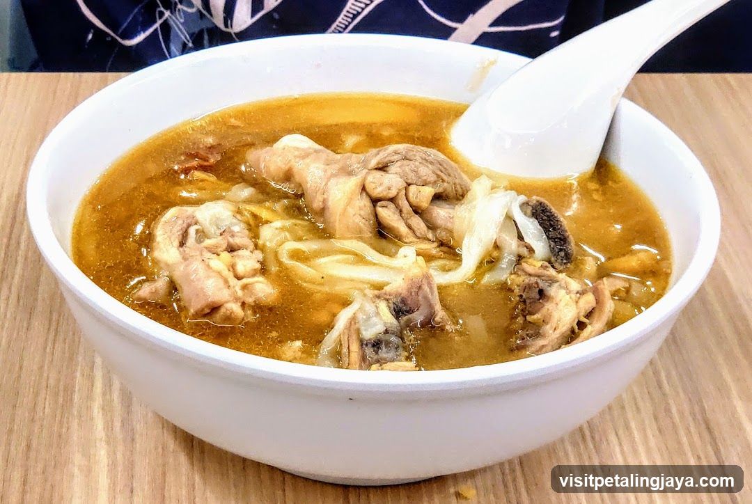 Bowl of Chicken Soup with Noodles