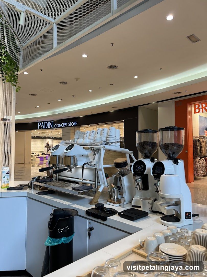 Coffee Shop Interior with Equipment