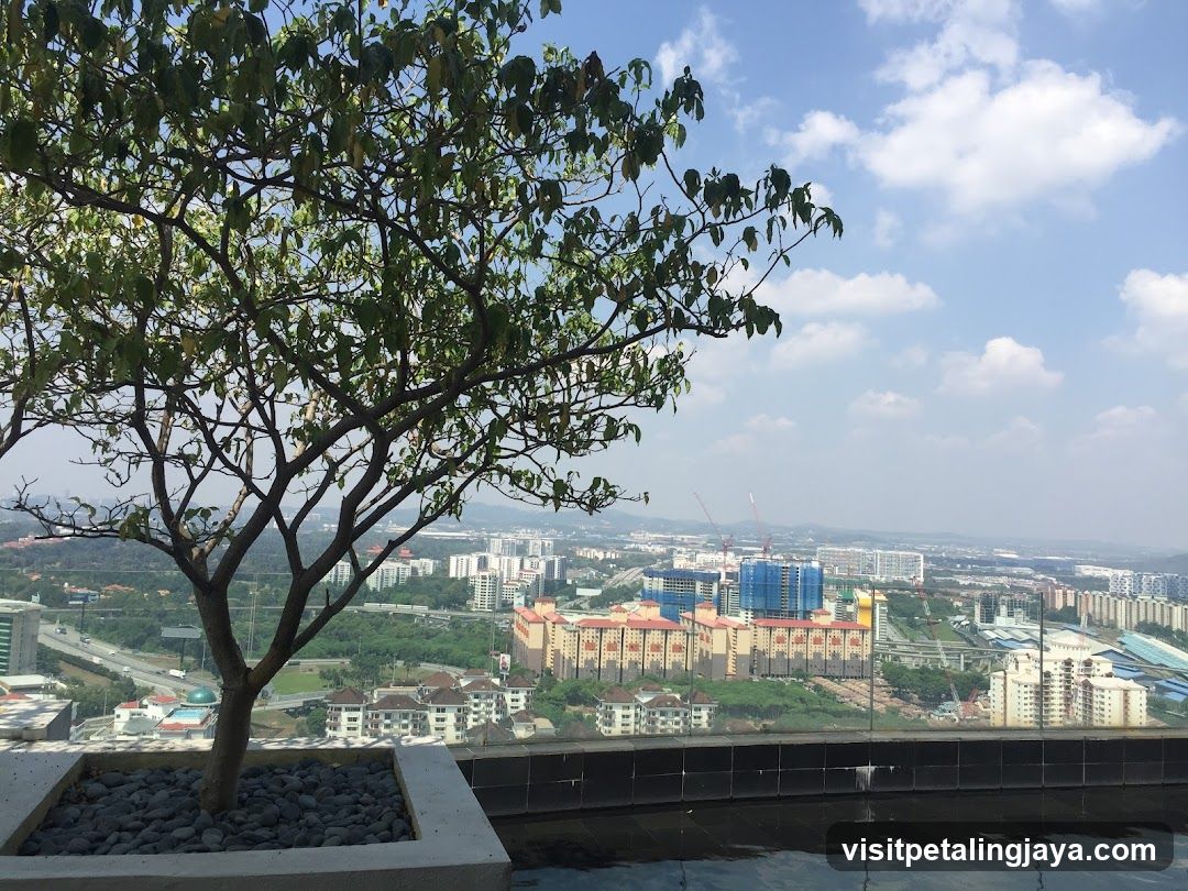 Cityscape View from Rooftop