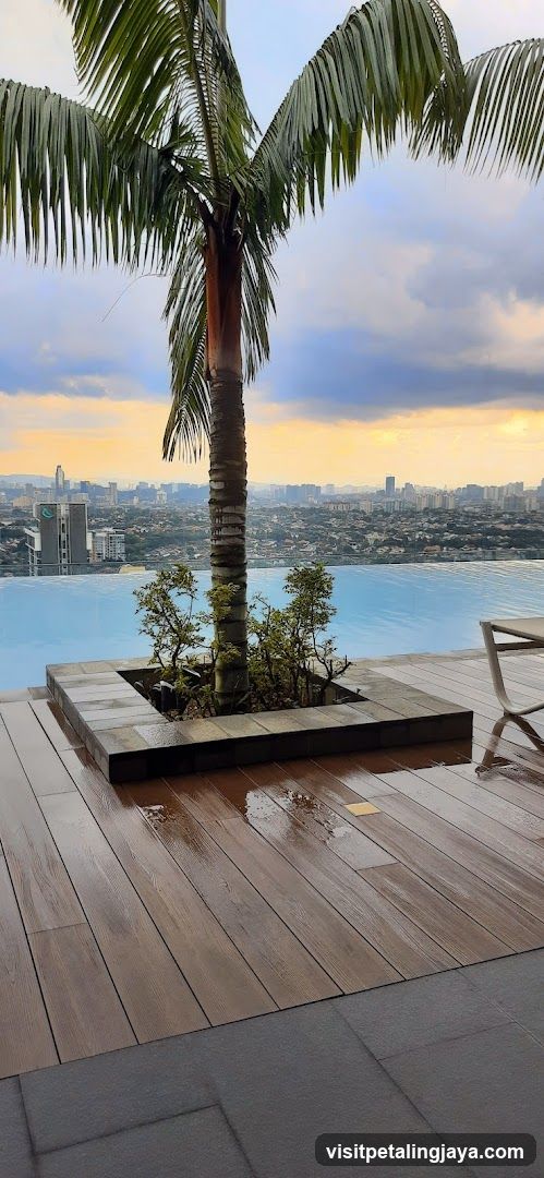 Infinity Pool View with Palm Tree
