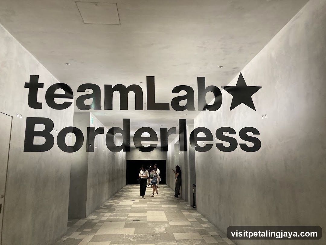 teamLab Borderless Entrance