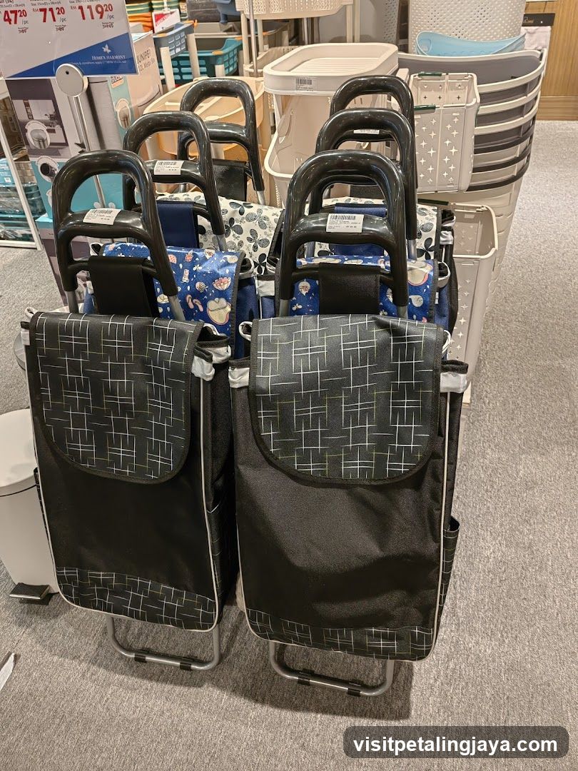Shopping Carts Display
