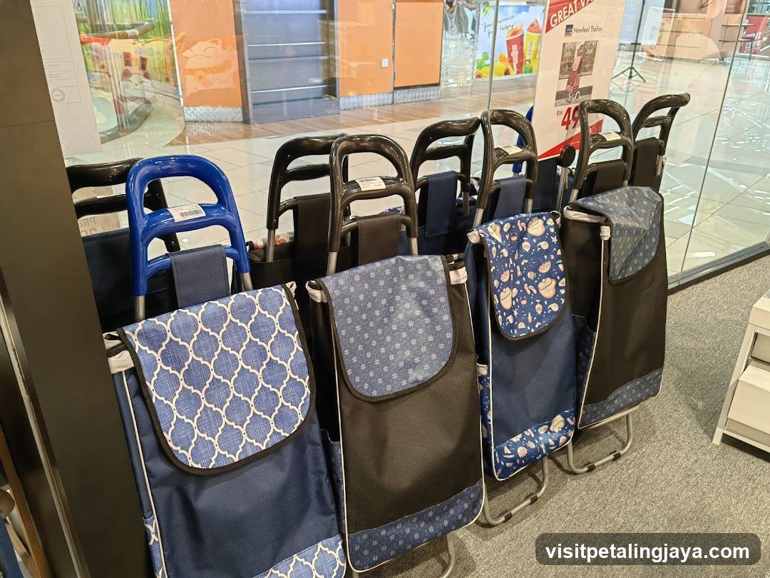 Shopping Carts Display