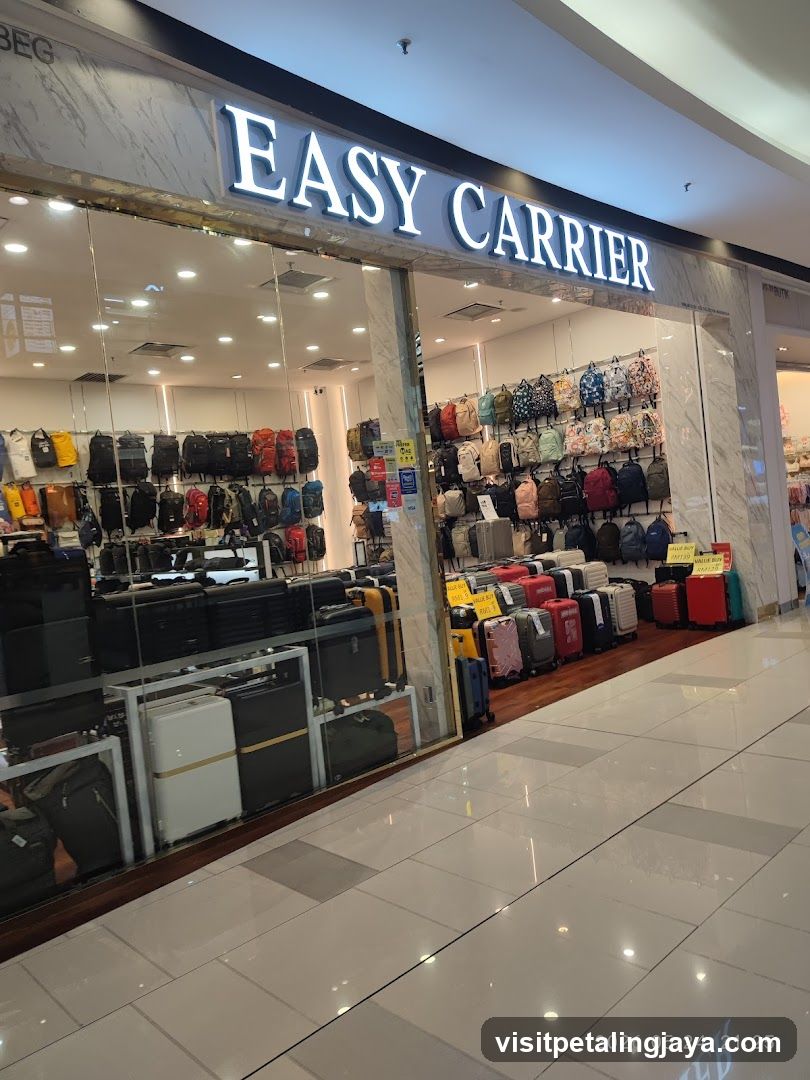 Easy Carrier