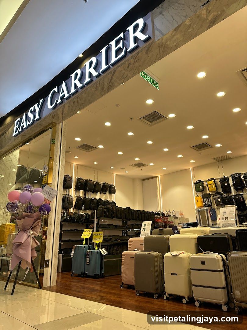 Easy Carrier