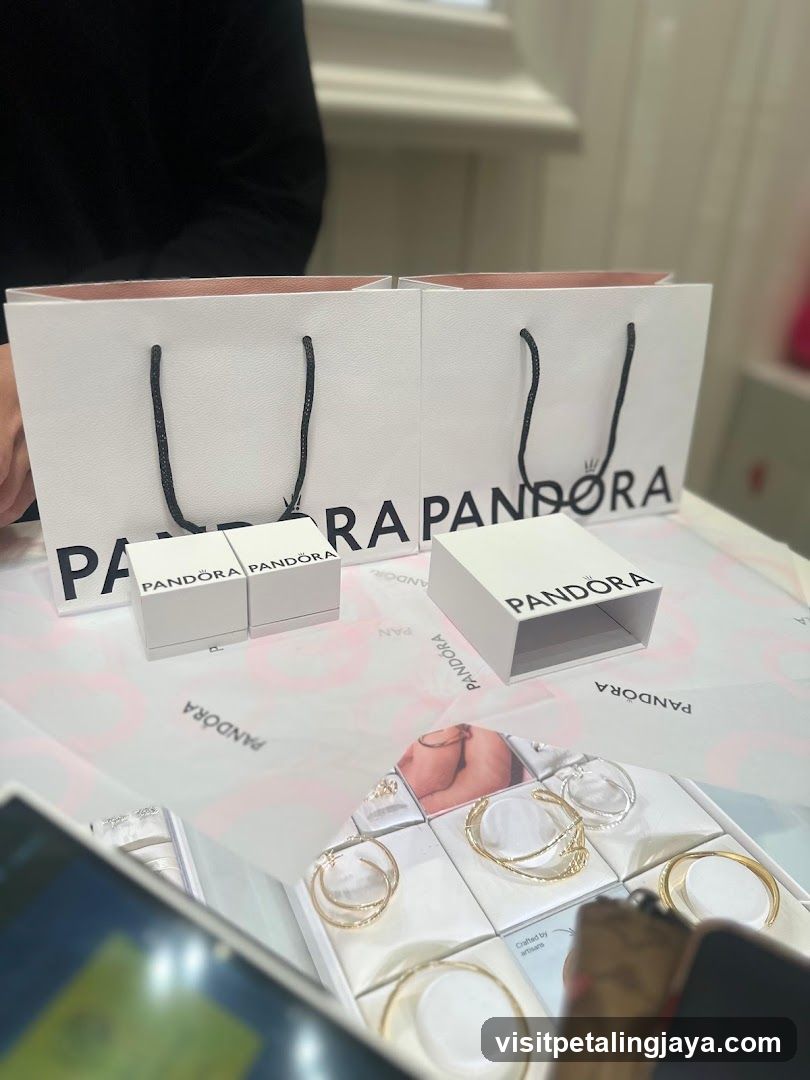 Pandora Store Interior Display