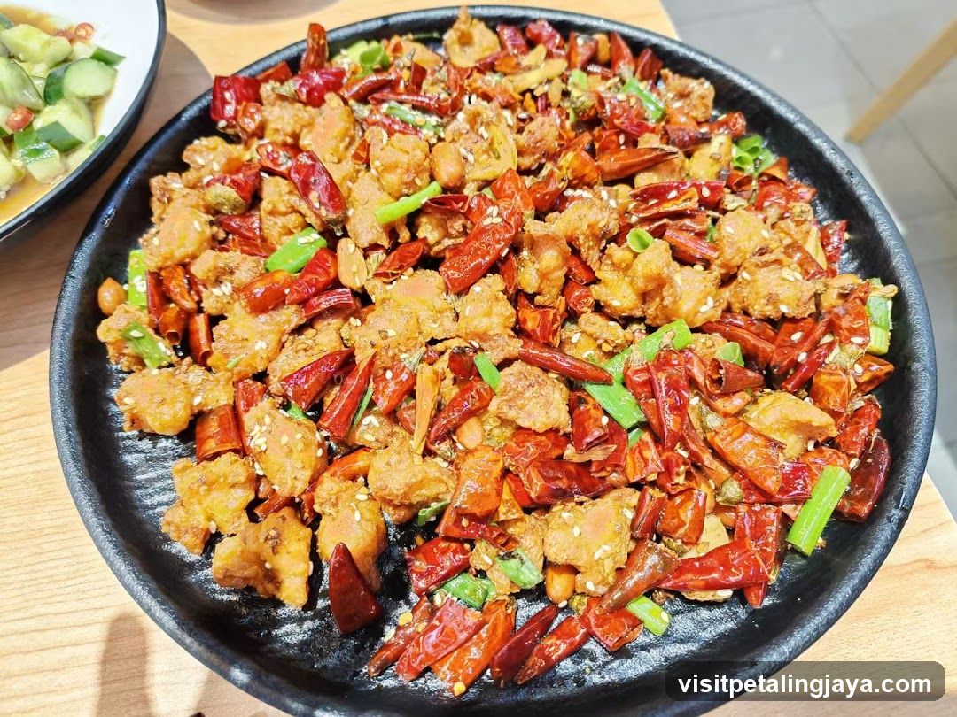 Food Dish