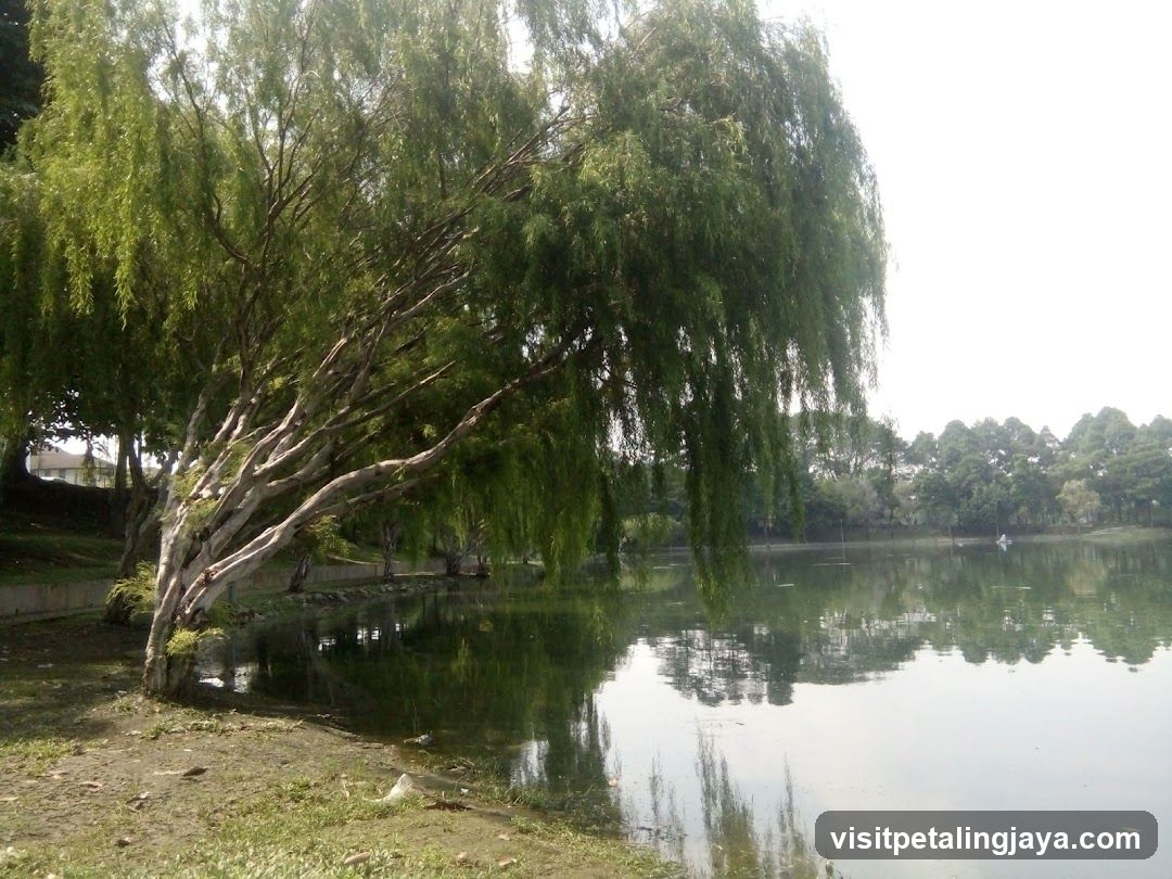 Tasik Kelana Jaya