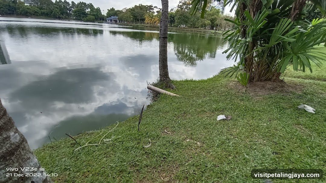 Lakeside Park View