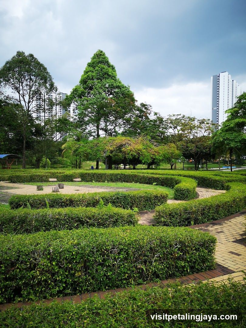 Park with Manicured Hedges and Tall Trees