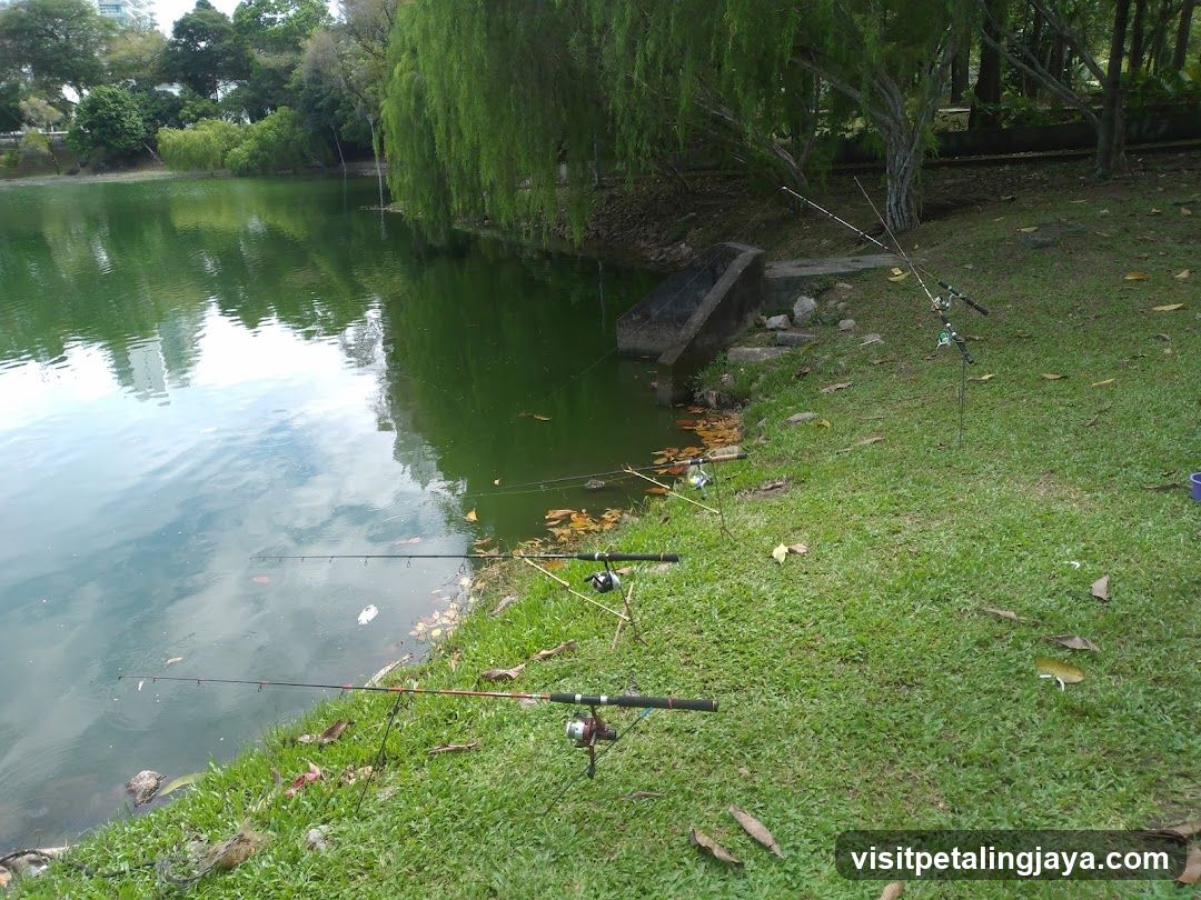 Fishing by the lake