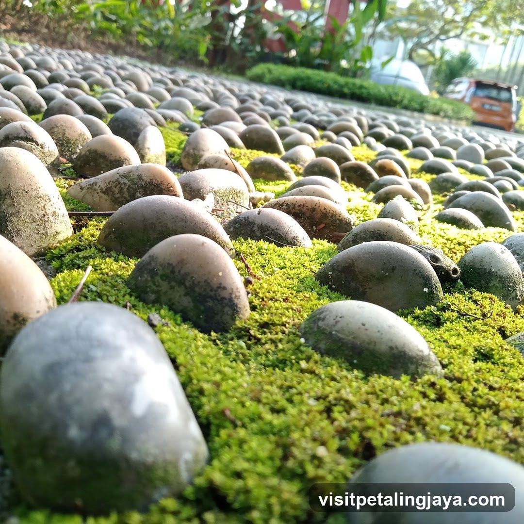 Mossy Pebble Path