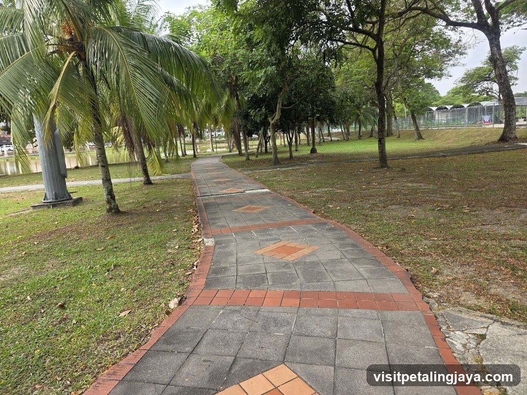 Park Pathway with Palm Trees
