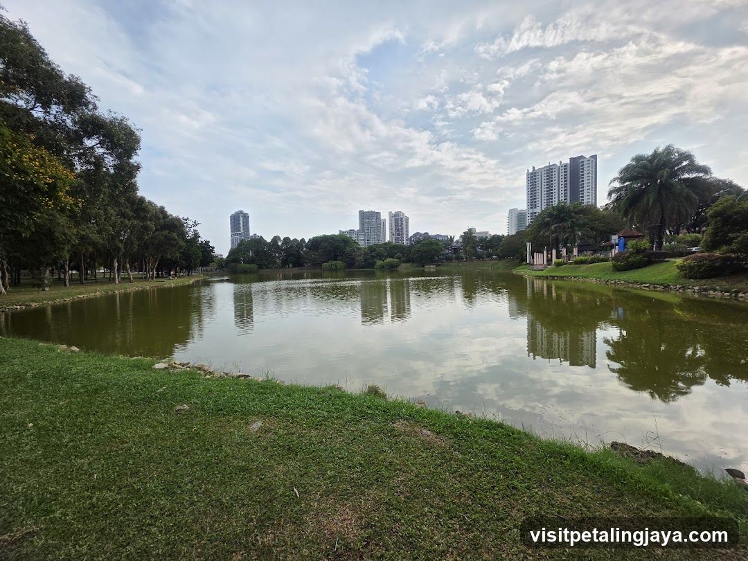 Lakeside Park View with City Skyline