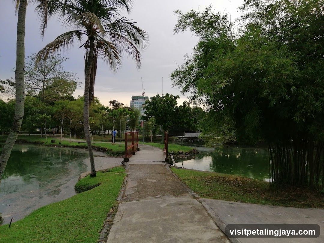 Park Pathway with Bamboo and Palm Trees