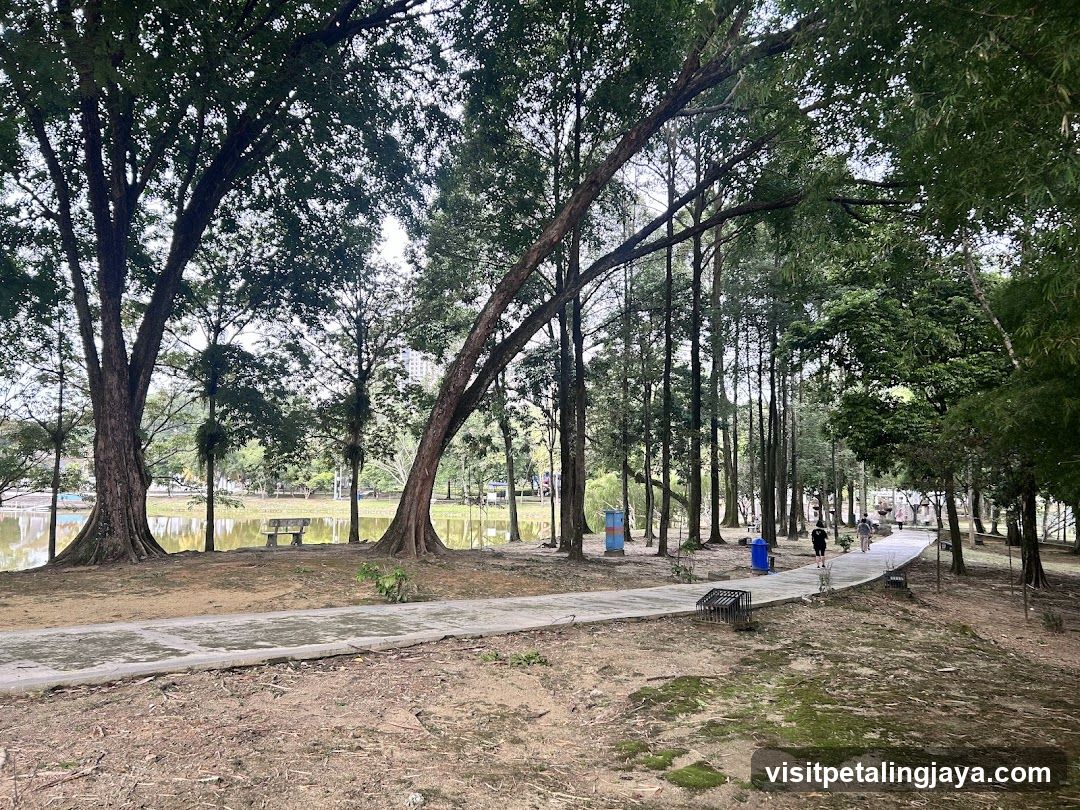 Park Pathway with Trees and Pond