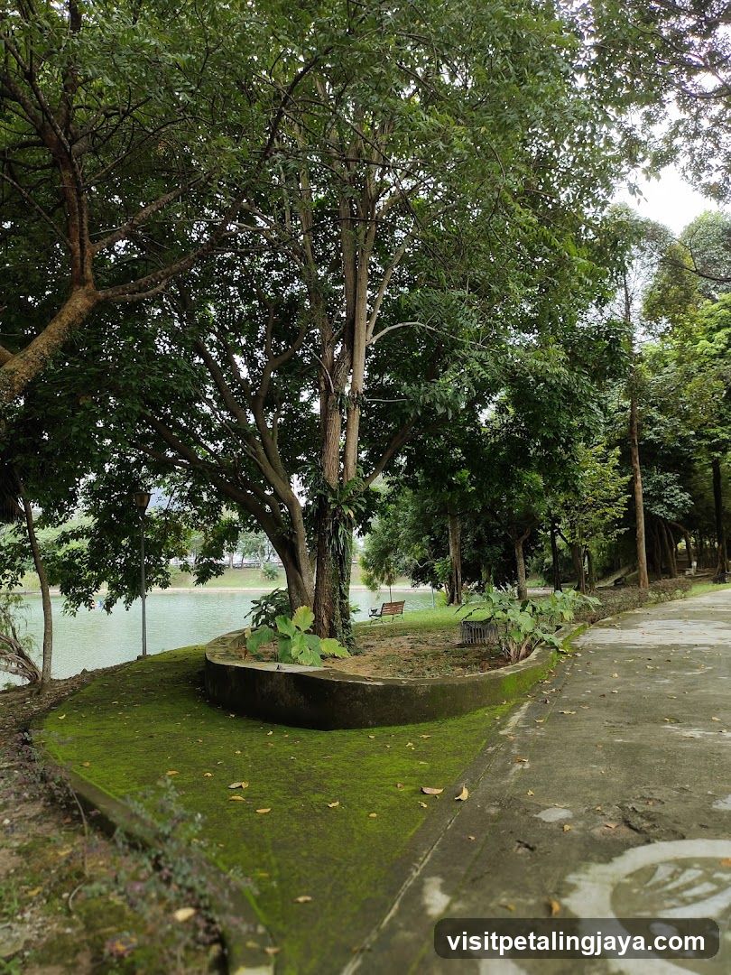 Lakeside Park Pathway