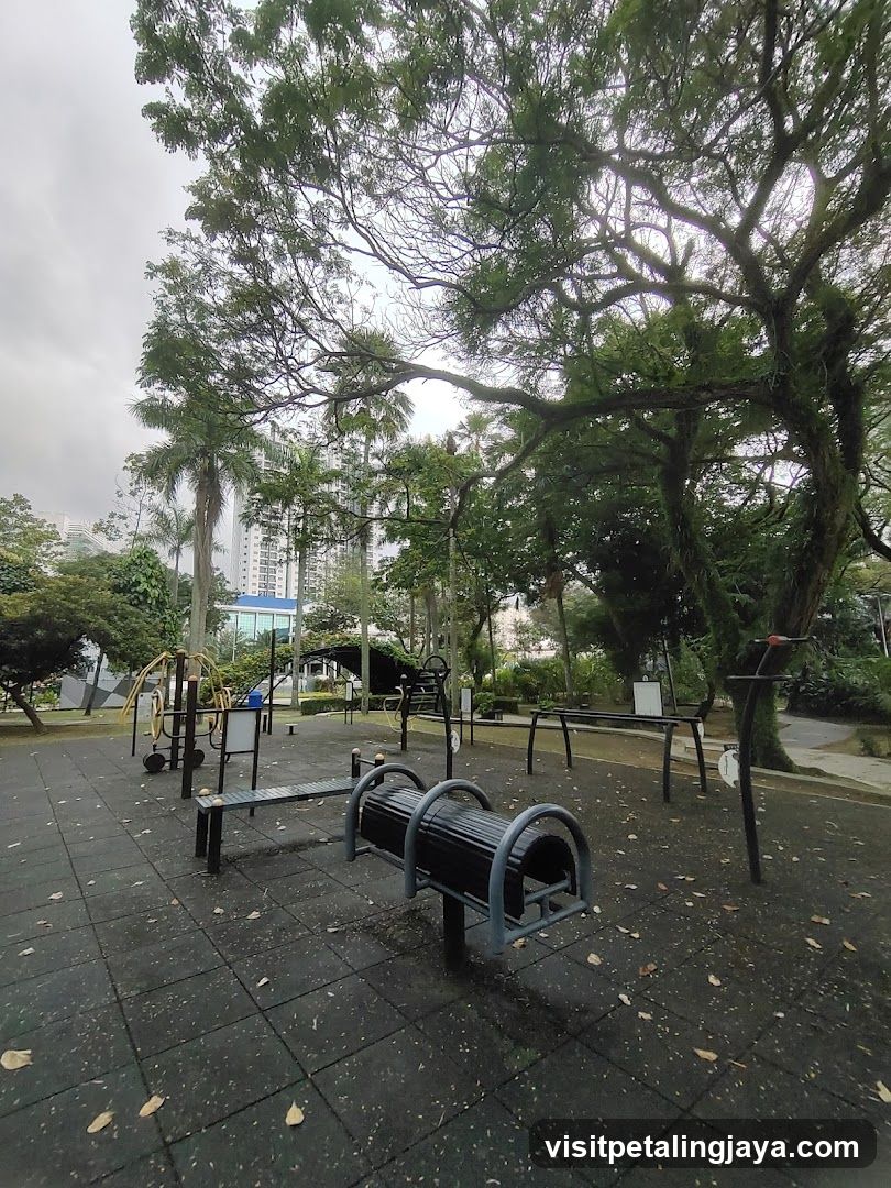 Outdoor Fitness Area in Park