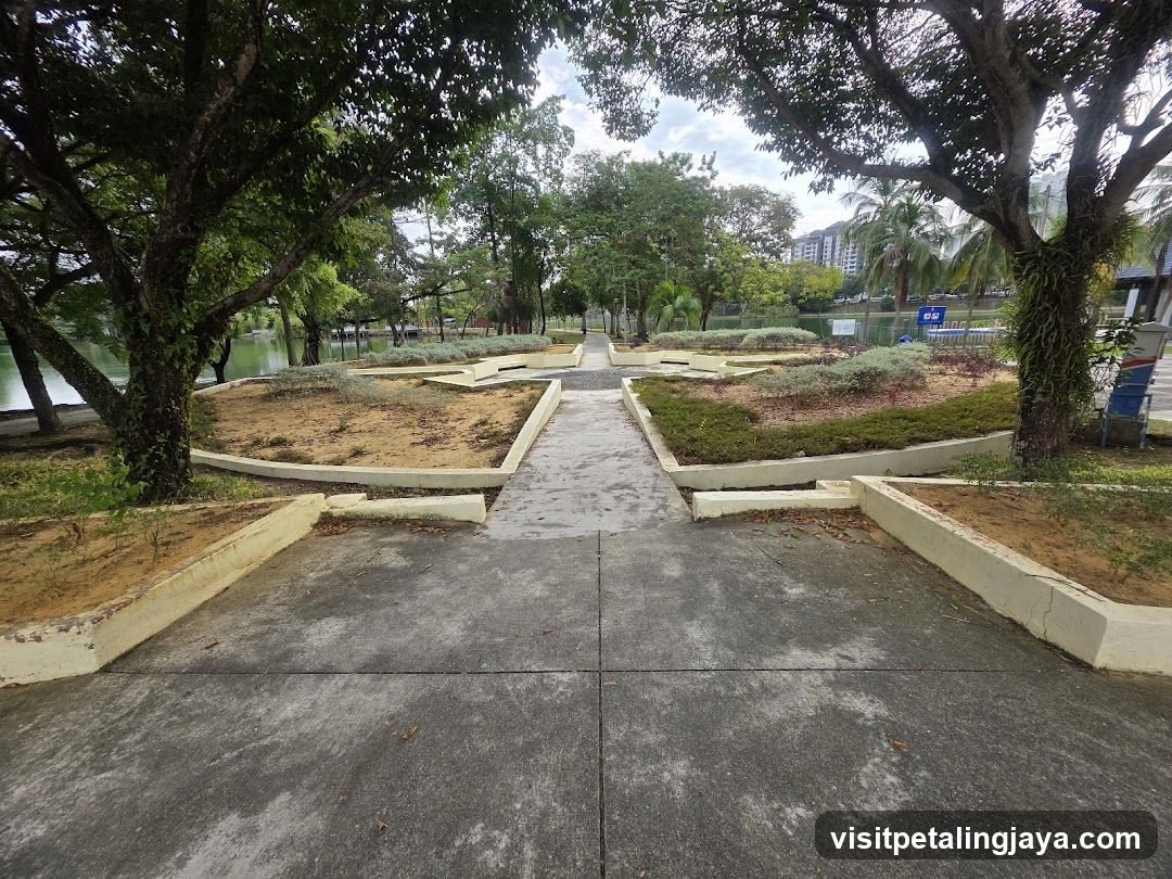 Park Pathway View
