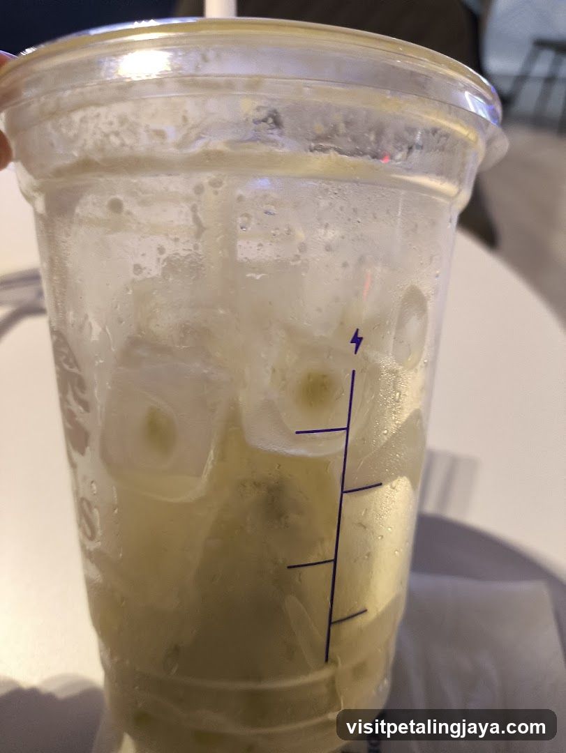 Iced Lemonade in Plastic Cup