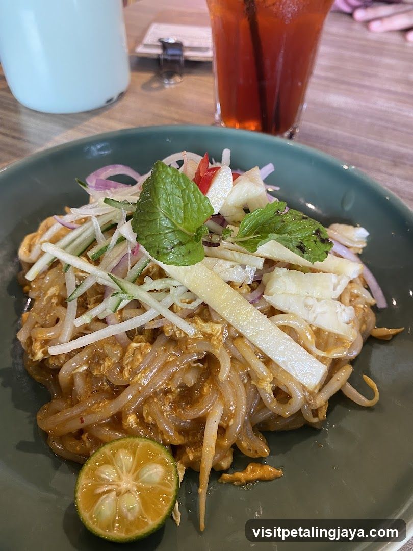 Pad See Ew with Garnish