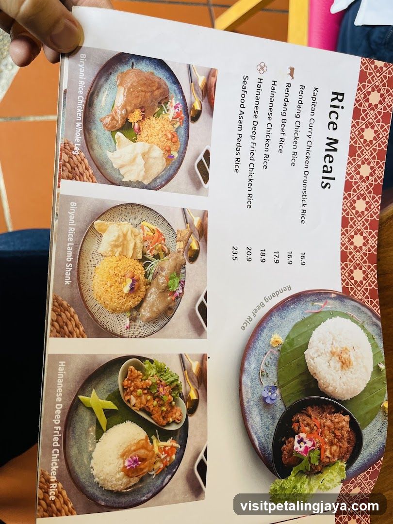 Rice Meals Menu Page
