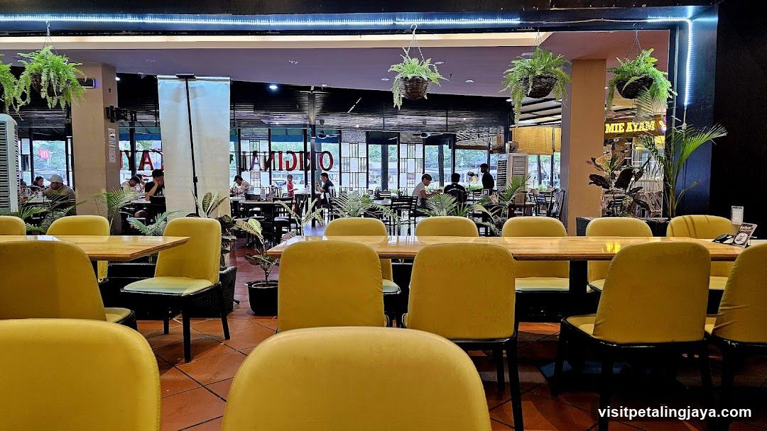 Restaurant Interior with Yellow Chairs and Hanging Plants