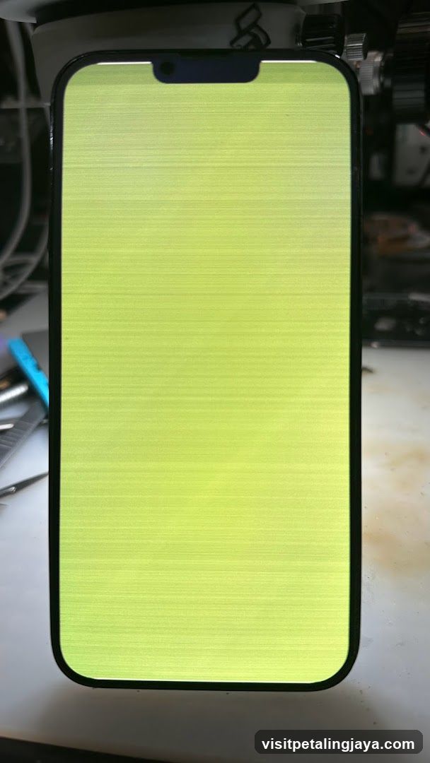 iPhone Screen Display