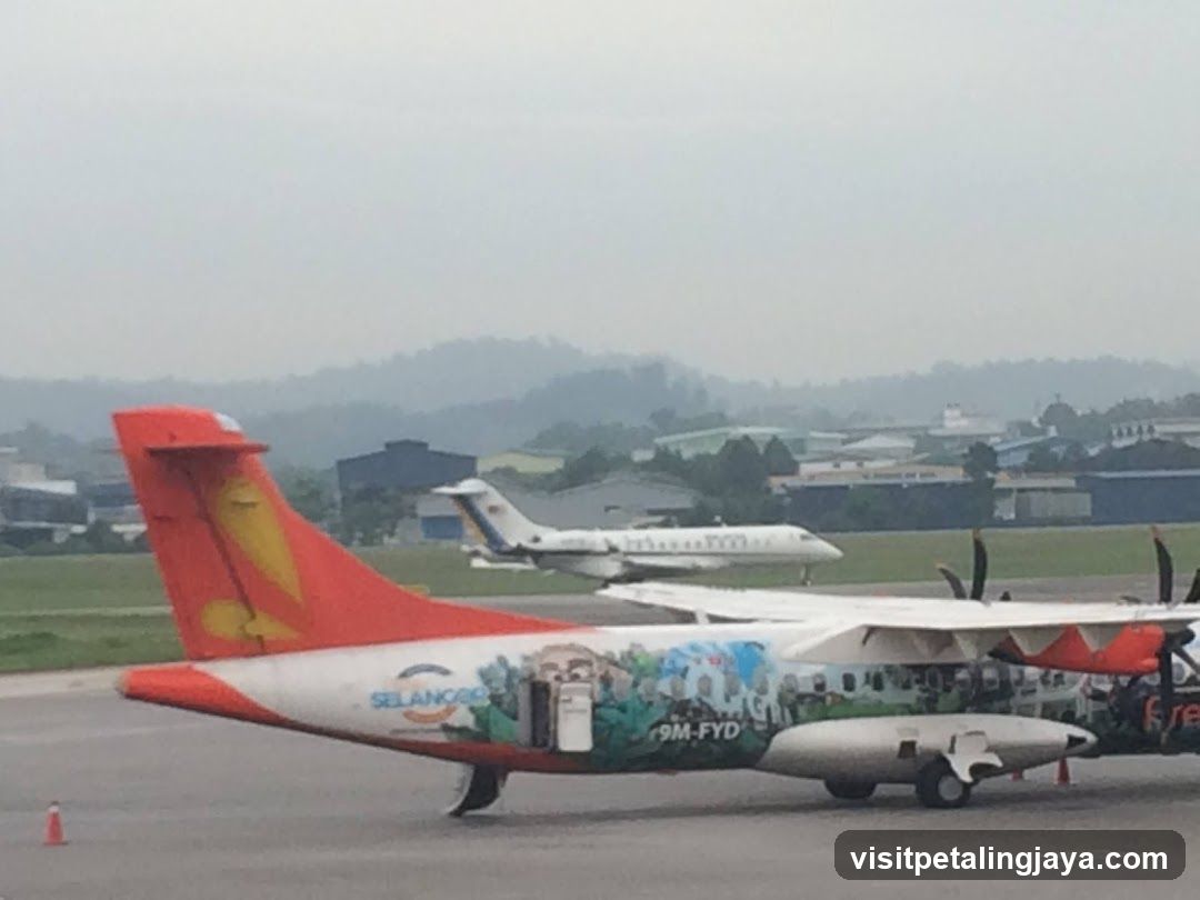 Aircraft on Tarmac with Lush Background