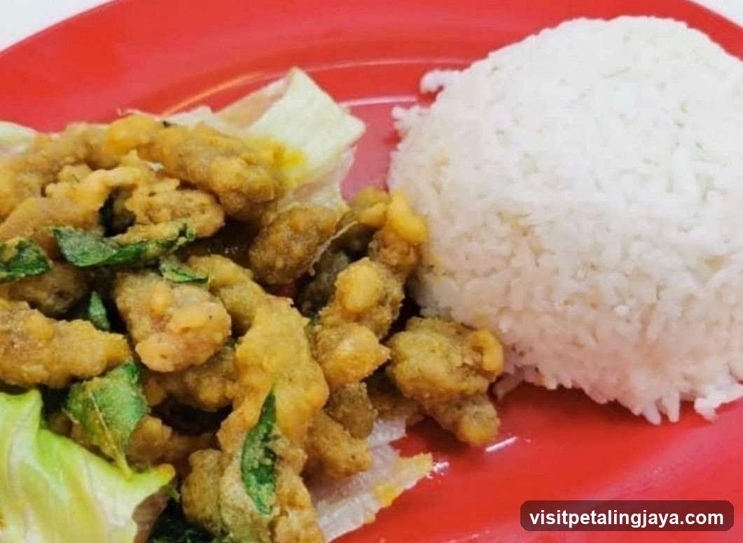 Fried Chicken with Rice