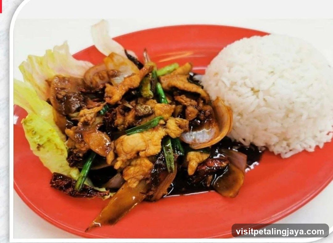 Stir-fried Chicken with Rice
