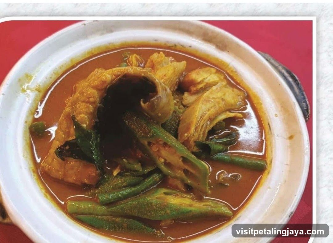 Curry Dish in Clay Pot