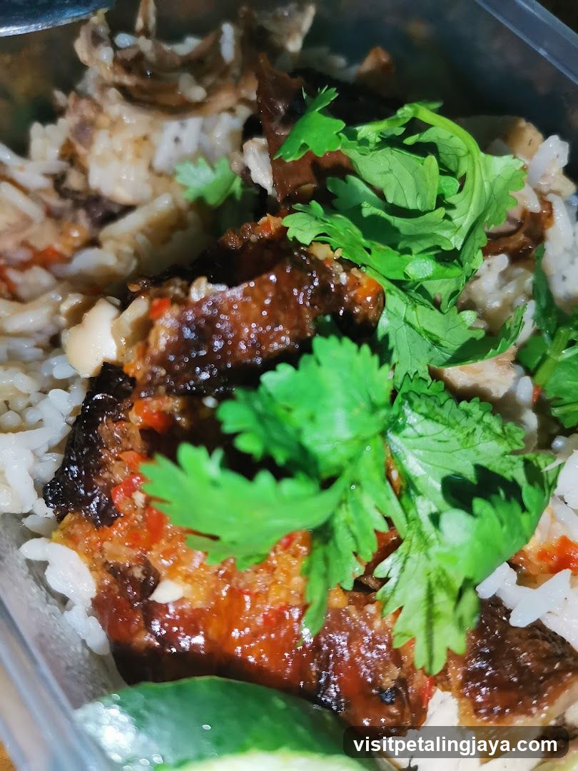 Rice Bowl with Meat and Cilantro