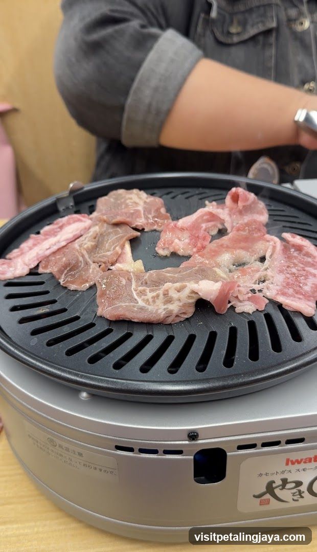 Grilled Meat on Portable Burner