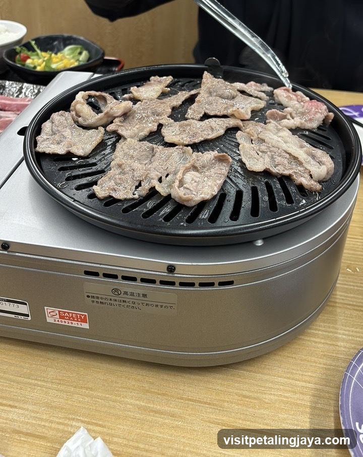 Grilled Meat on Portable Burner