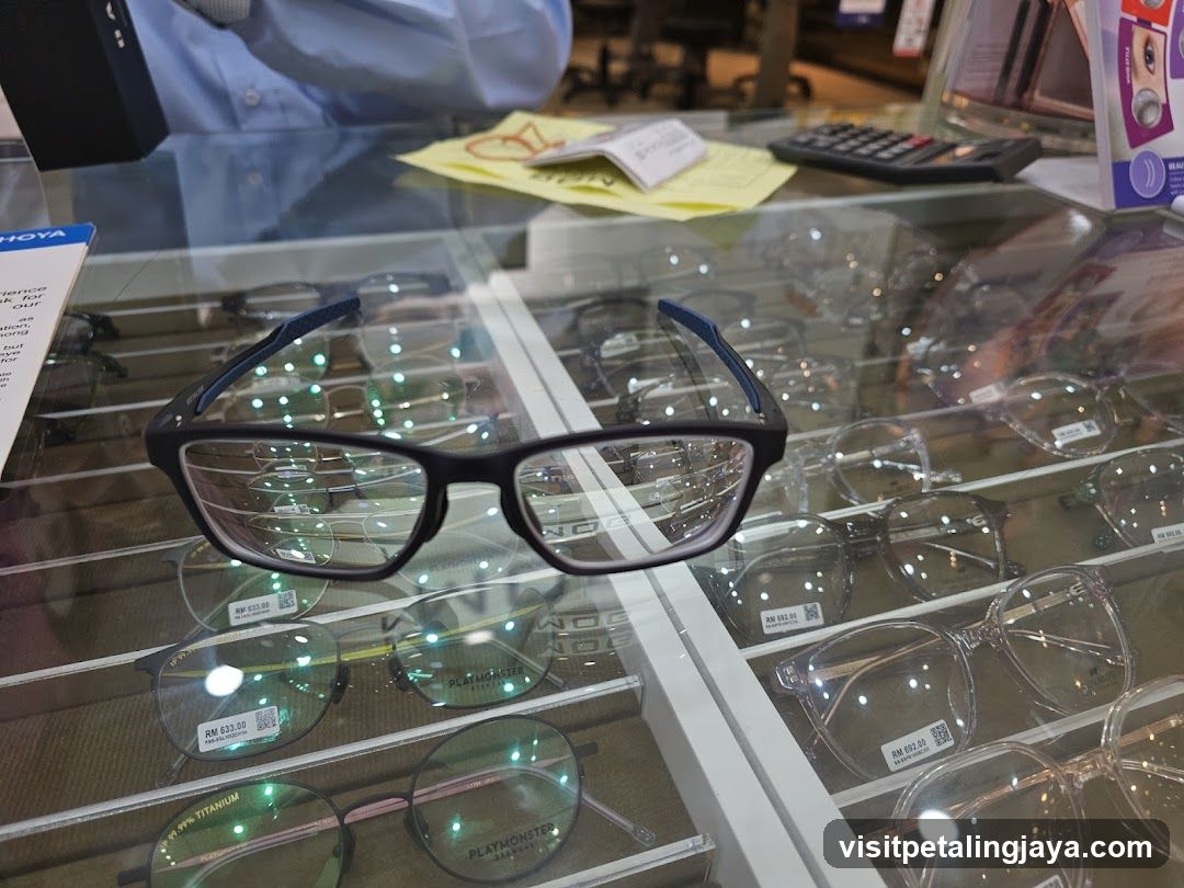 Eyeglasses Display Case