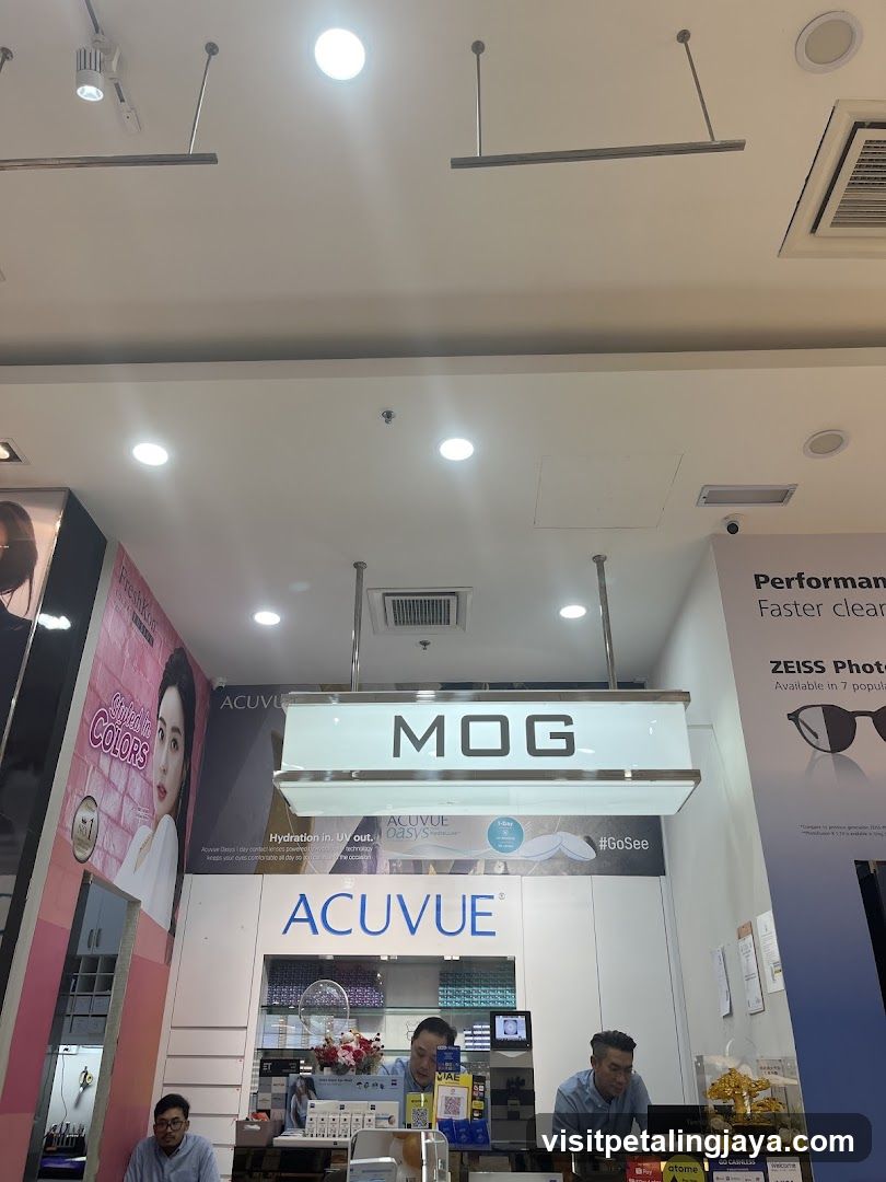 MOG Optometry Store Interior