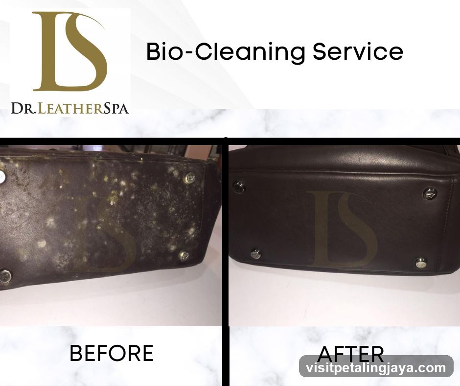 Bio-Cleaning Service Before and After