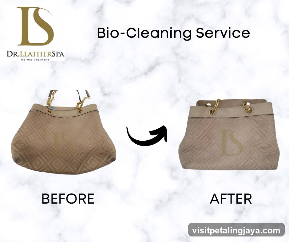 Bio-Cleaning Service Before and After